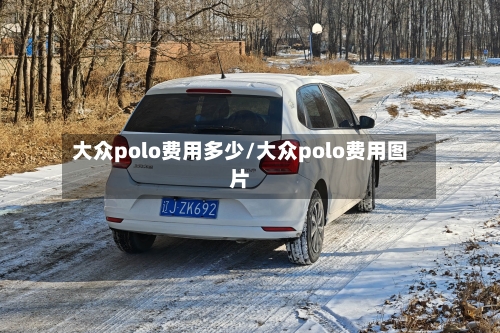 大众polo费用多少/大众polo费用图片-第3张图片