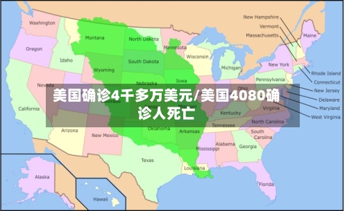 美国确诊4千多万美元/美国4080确诊人死亡