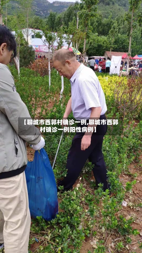 【聊城市西郭村确诊一例,聊城市西郭村确诊一例阳性病例】