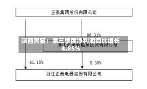 陕西黑猫:第三季度净利润同比增长4.85%-第2张图片