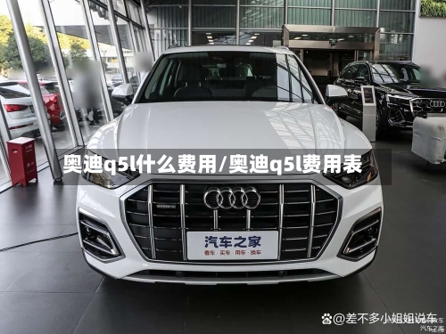 奥迪q5l什么费用/奥迪q5l费用表
