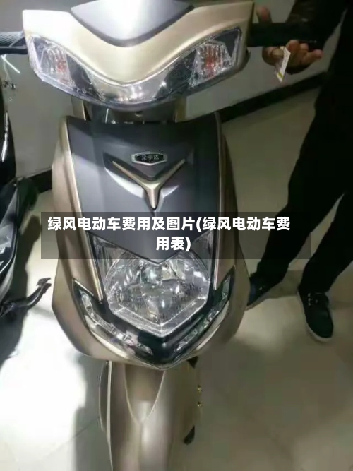绿风电动车费用及图片(绿风电动车费用表)