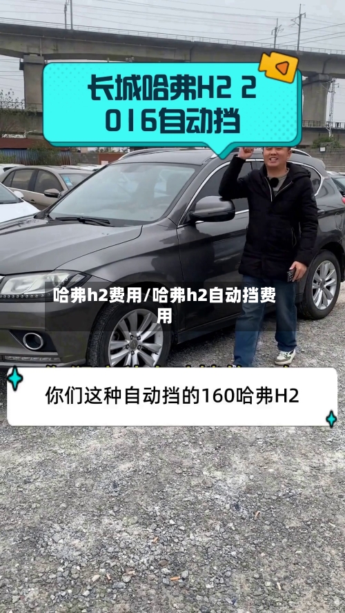 哈弗h2费用/哈弗h2自动挡费用-第2张图片