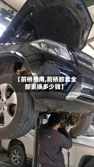 【前桥费用,前桥胶套全部更换多少钱】