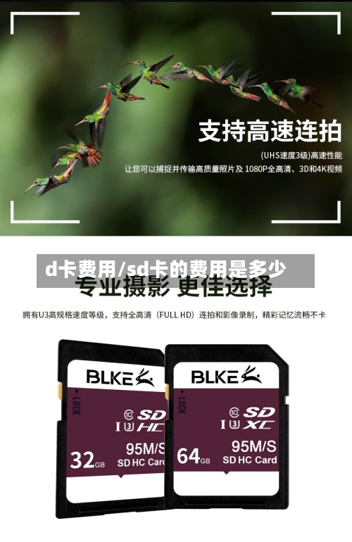 d卡费用/sd卡的费用是多少-第2张图片