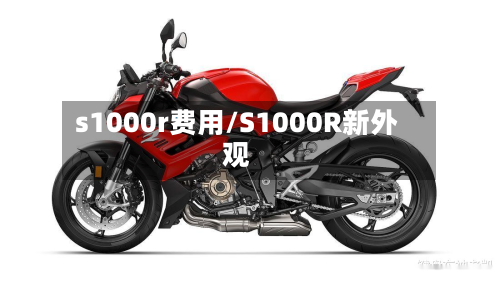 s1000r费用/S1000R新外观-第3张图片
