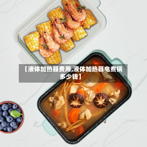 【液体加热器费用,液体加热器电煮锅多少钱】