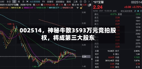 002514	，神秘牛散3593万元竞拍股权，将成第三大股东-第3张图片