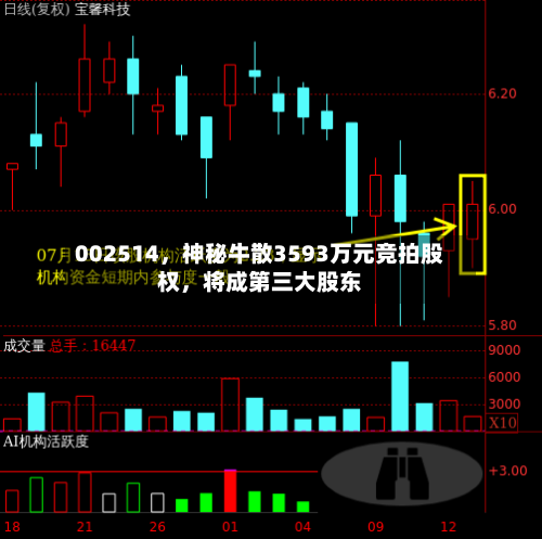 002514,神秘牛散3593万元竞拍股权,将成第三大股东