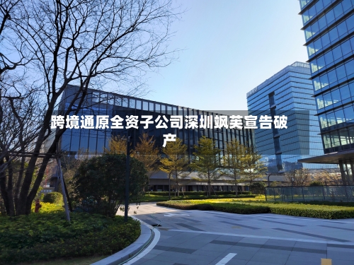 跨境通原全资子公司深圳飒芙宣告破产