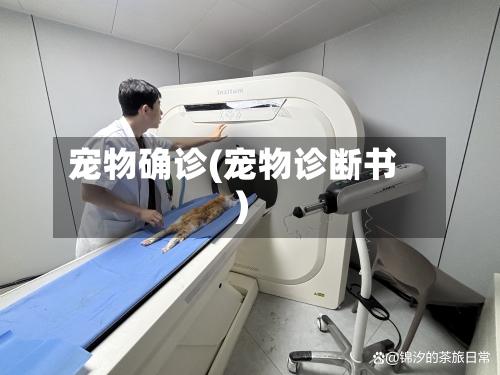 宠物确诊(宠物诊断书)