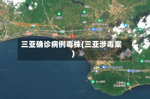 三亚确诊病例毒株(三亚涉毒案)
