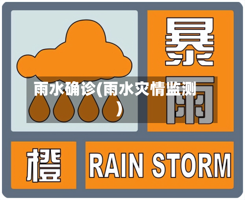 雨水确诊(雨水灾情监测)