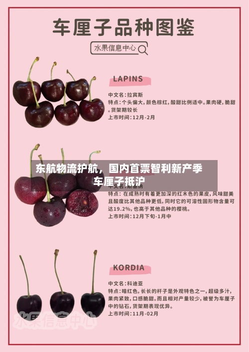 东航物流护航，国内首票智利新产季车厘子抵沪-第2张图片