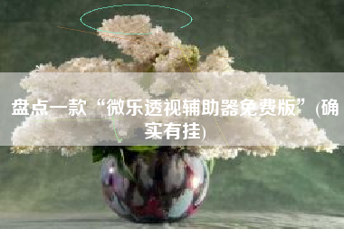 最新教你“微乐陕西捉老麻子透视挂!辅助神器插件下载 最新教你“微乐陕西捉老麻子透视挂!辅助神器插件下载